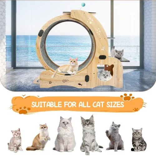 LovelyRLovely 6-in-1 Cat Fitness Wheel