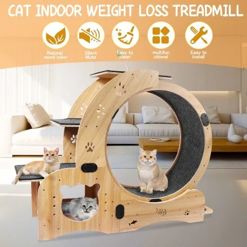 LovelyRLovely 6-in-1 Cat Fitness Wheel