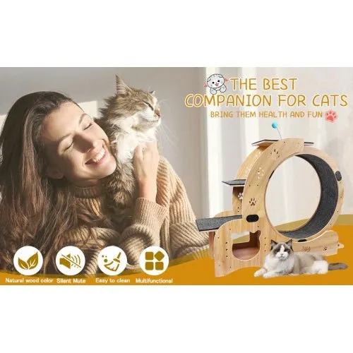 LovelyRLovely 6-in-1 Cat Fitness Wheel