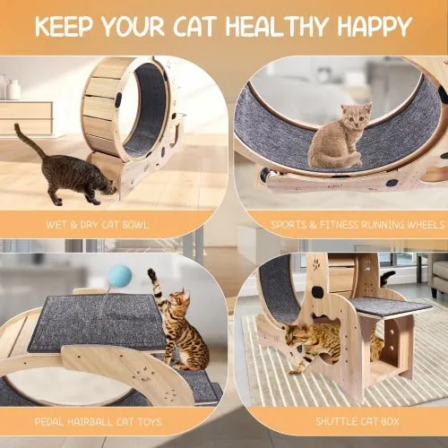LovelyRLovely 6-in-1 Cat Fitness Wheel