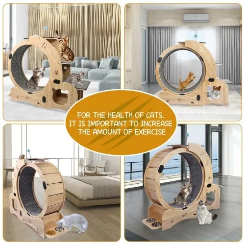 LovelyRLovely 6-in-1 Cat Fitness Wheel