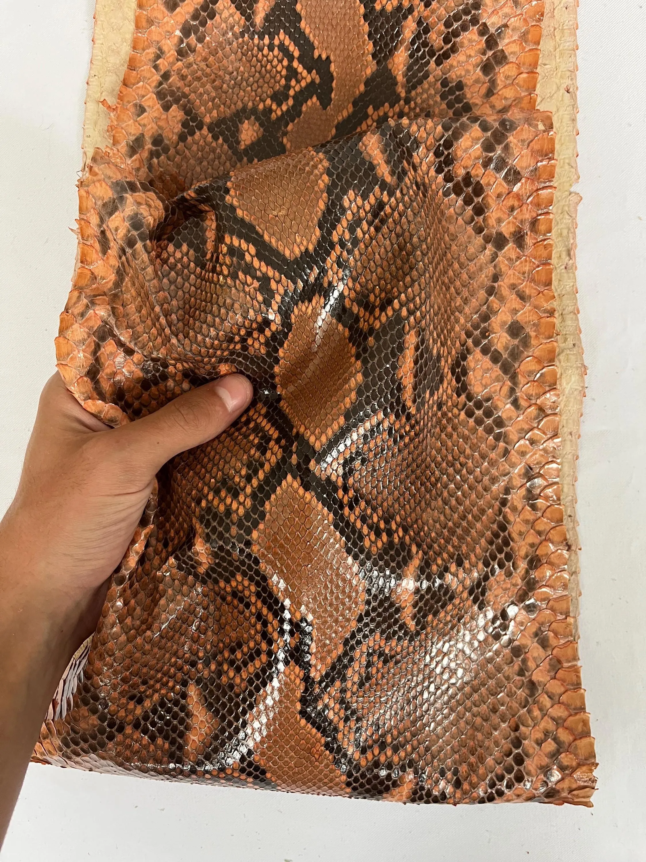 Real snake leather, genuine snakeskin hide natural glazed colour, long and wide python leather of thick 0,7mm(2 oz)