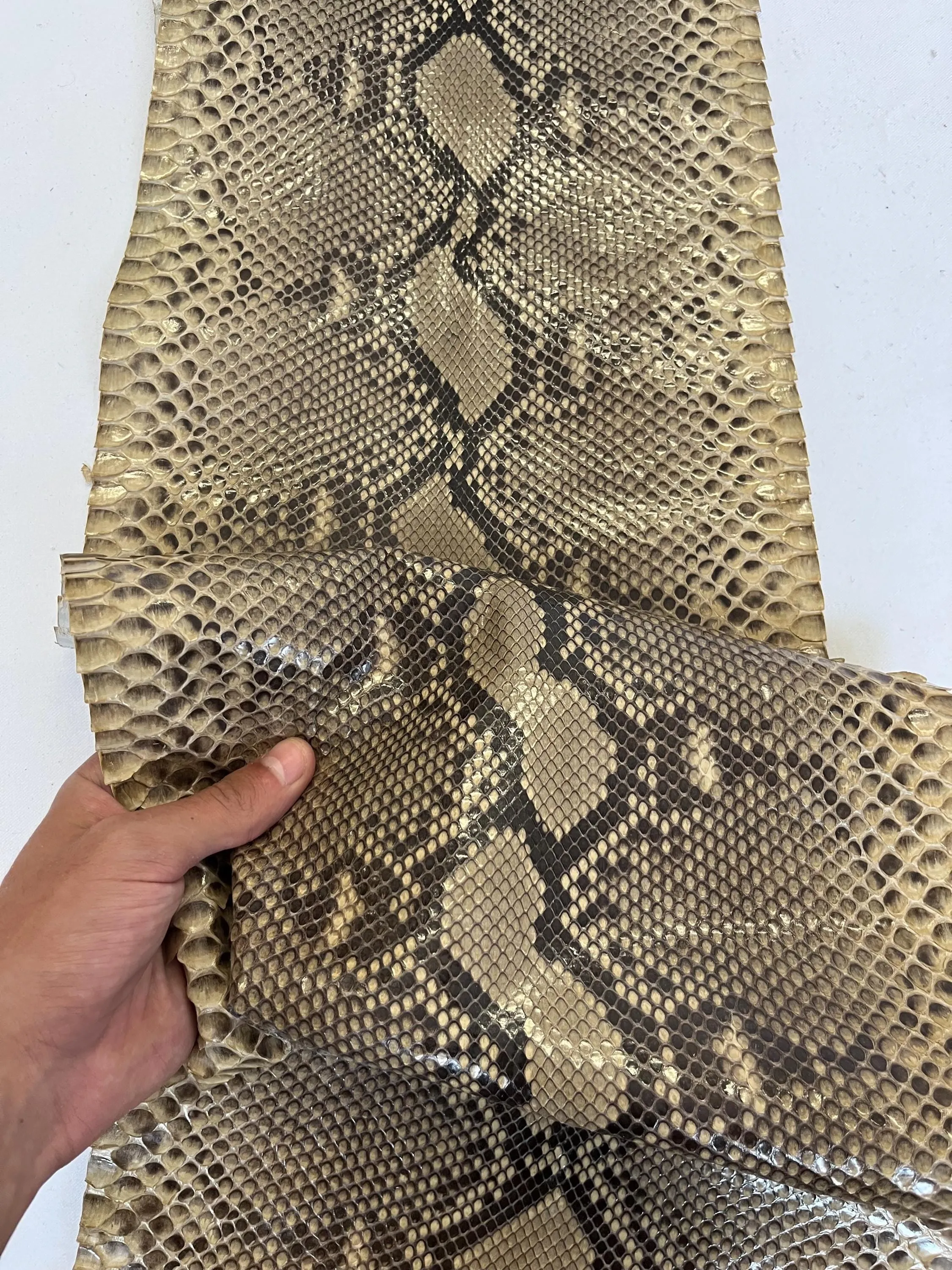 Real snake leather, genuine snakeskin hide natural glazed colour, long and wide python leather of thick 0,7mm(2 oz)